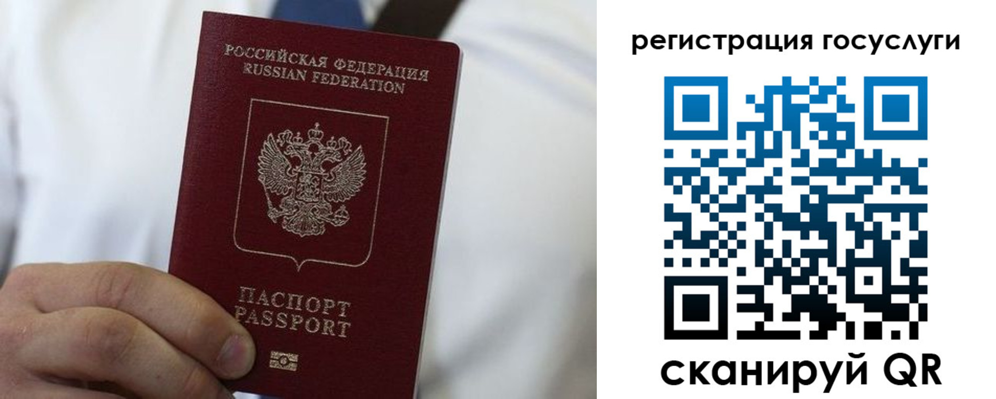прописка в Порхове